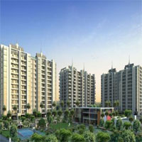 rainbow-developers-pune